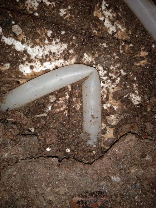 鄄城堵点精准查找